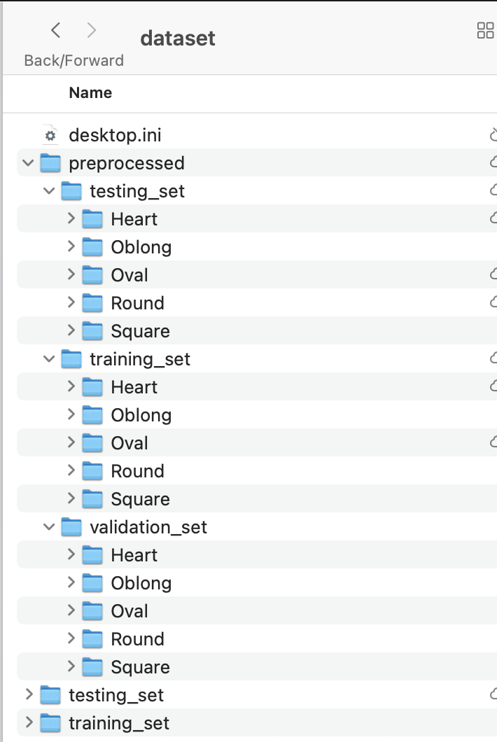 Dataset Structure